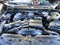 2023 GMC Sierra 3500HD 4WD Crew Cab Long Bed Denali